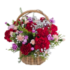 혼합 카네이션 바구니